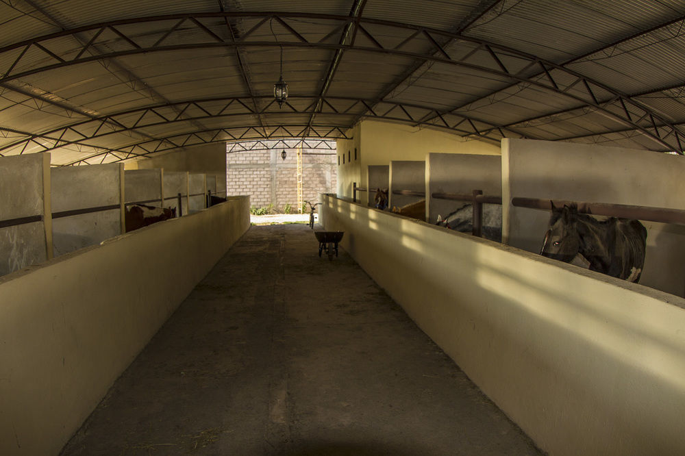 Teoticamp Otel San Juan Teotihuacán Dış mekan fotoğraf